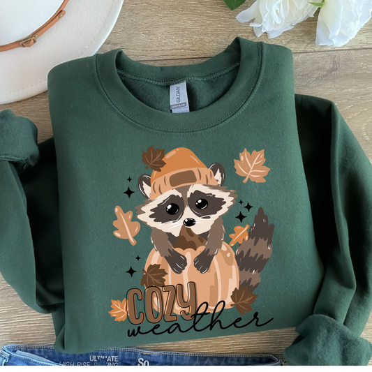 Cozy Weather Shirt